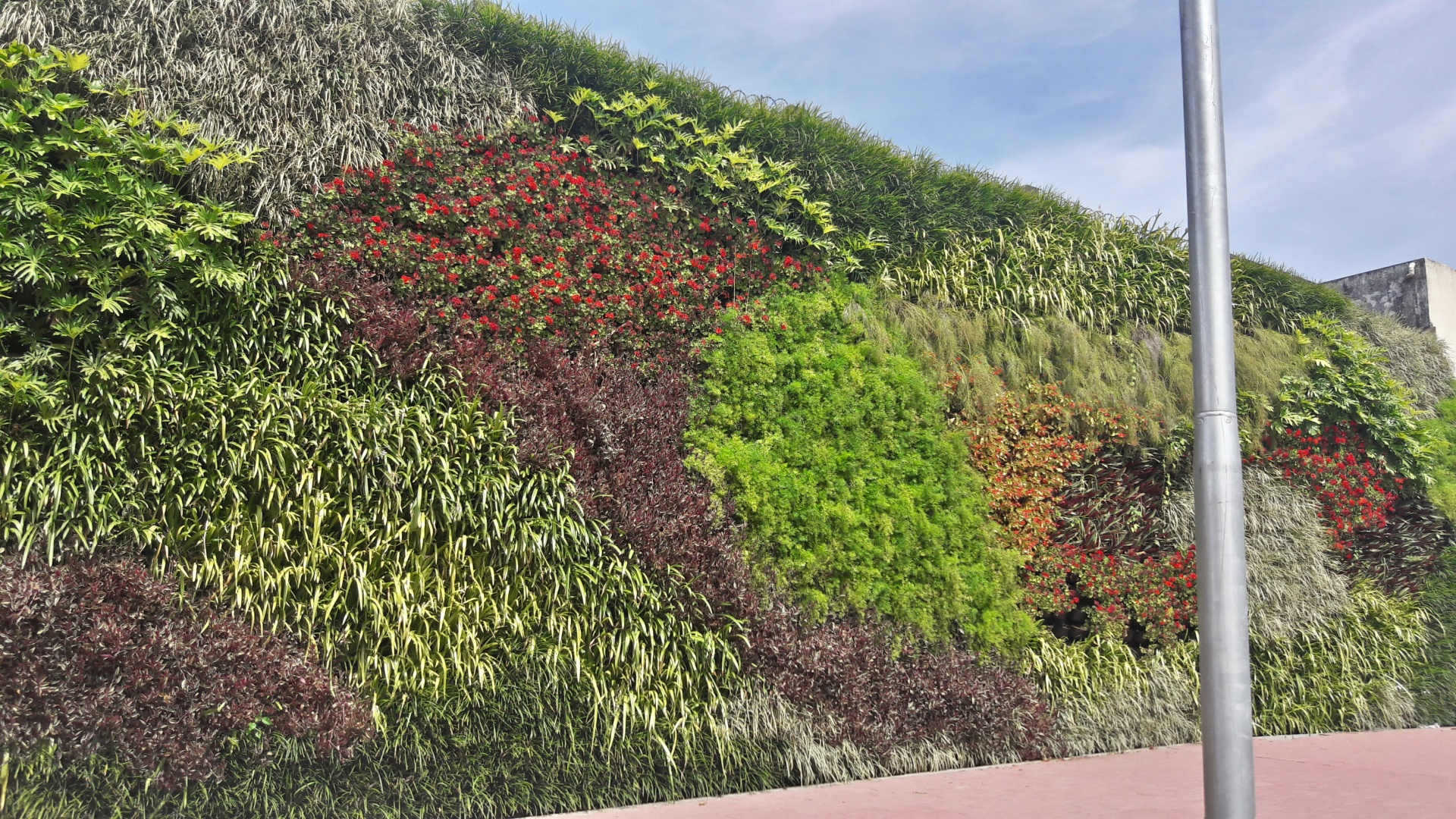 jardín vertical