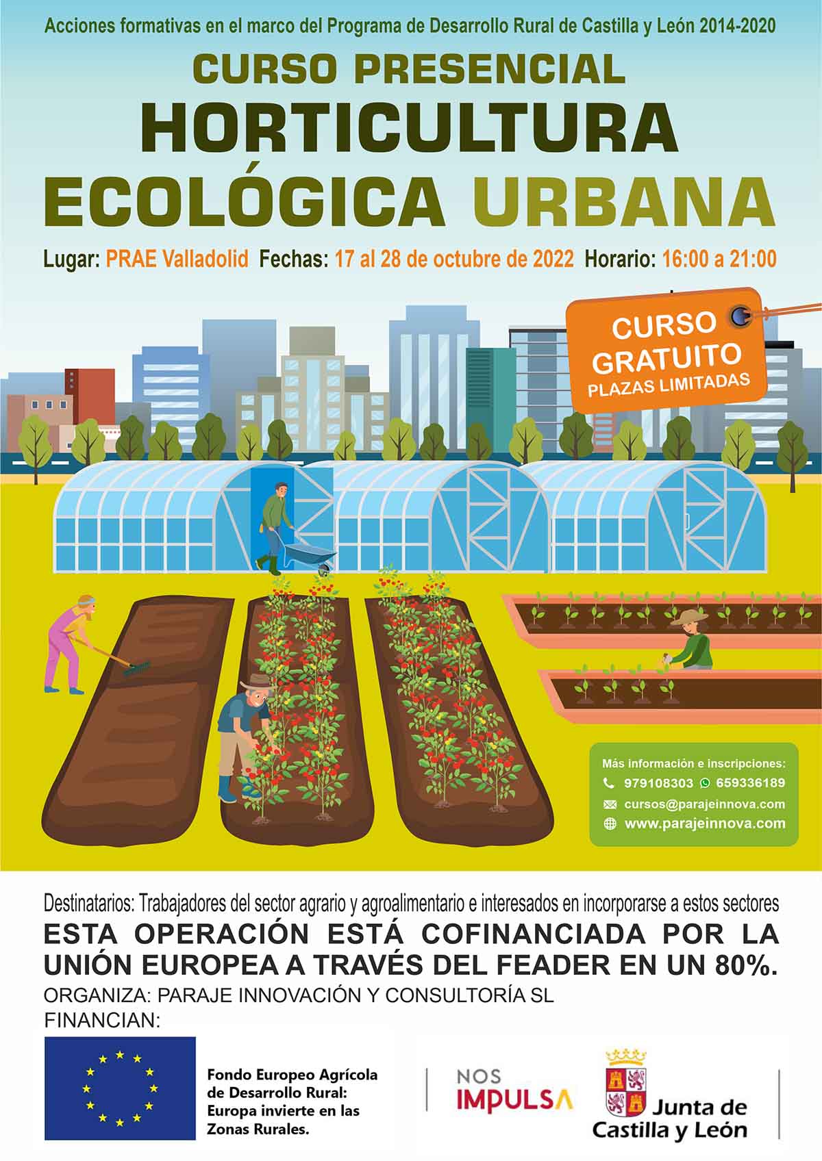 HORTICULTURA ECOLÓGICA URBANA