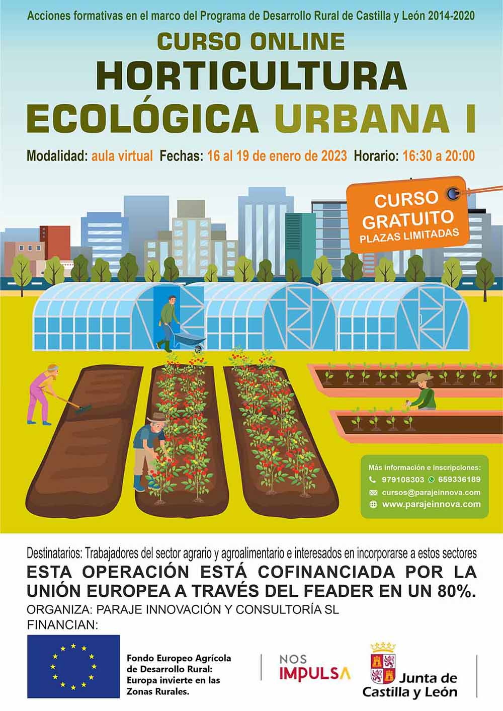 HORTICULTURA ECOLÓGICA URBANA I