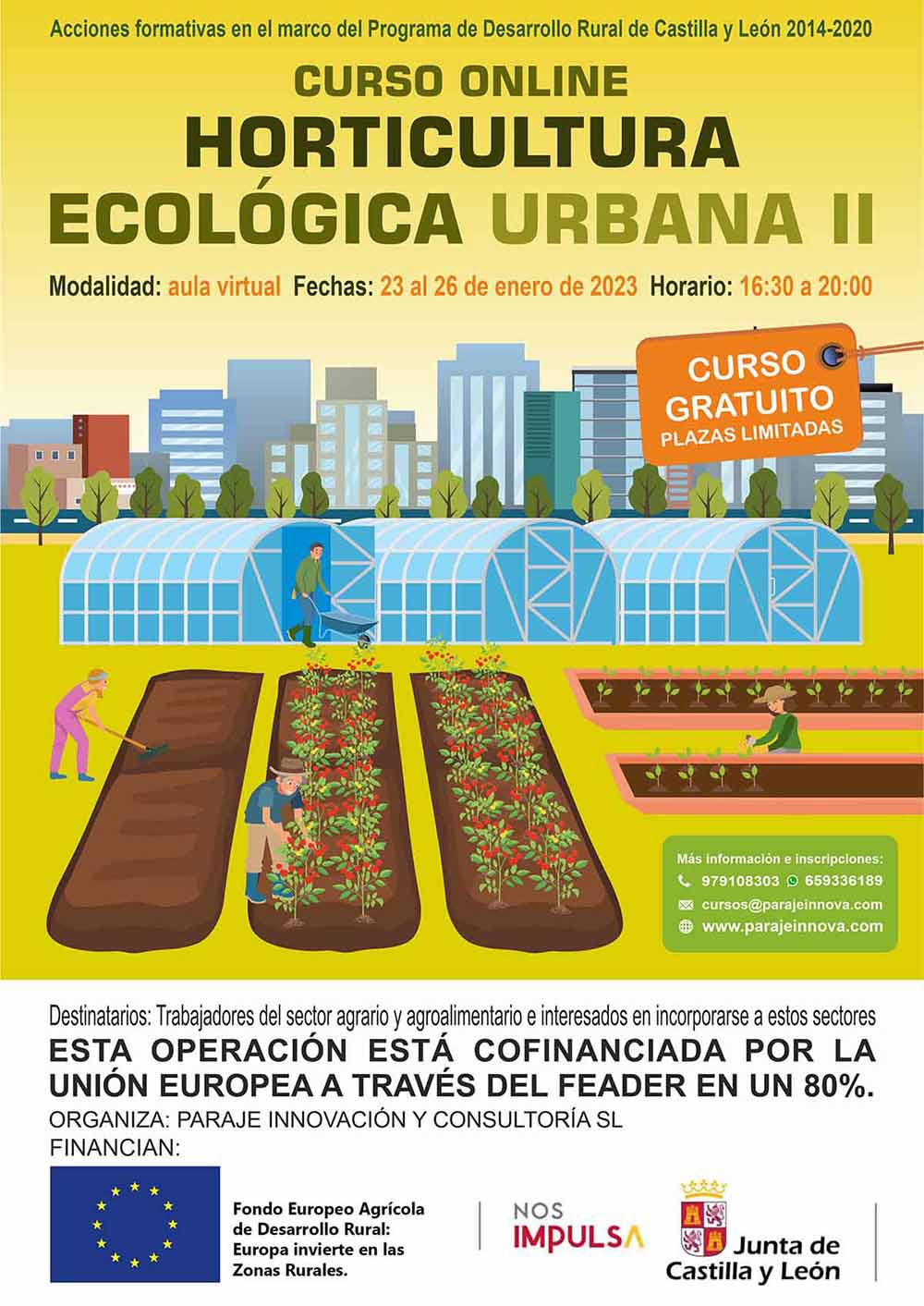 HORTICULTURA ECOLÓGICA URBANA II