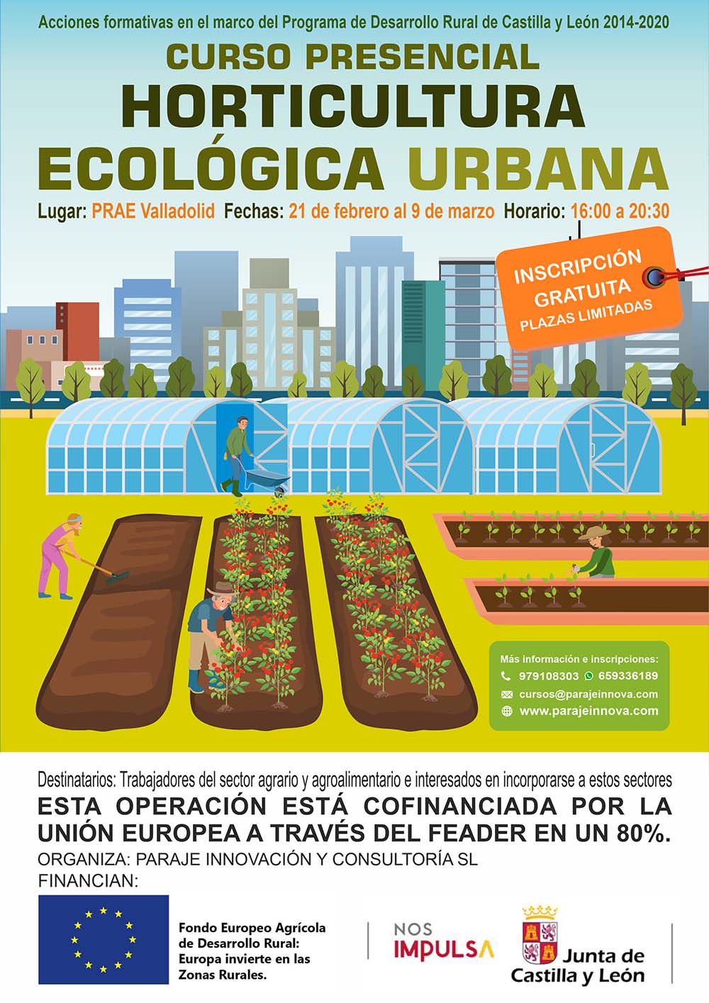 HORTICULTURA ECOLÓGICA URBANA