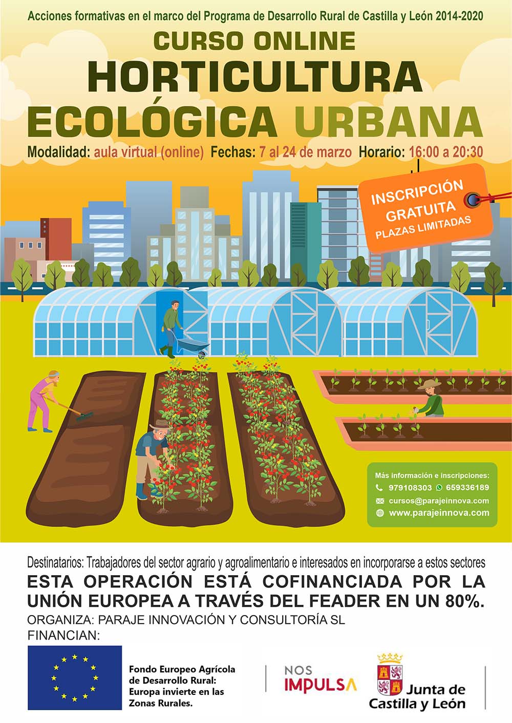 HORTICULTURA ECOLÓGICA URBANA