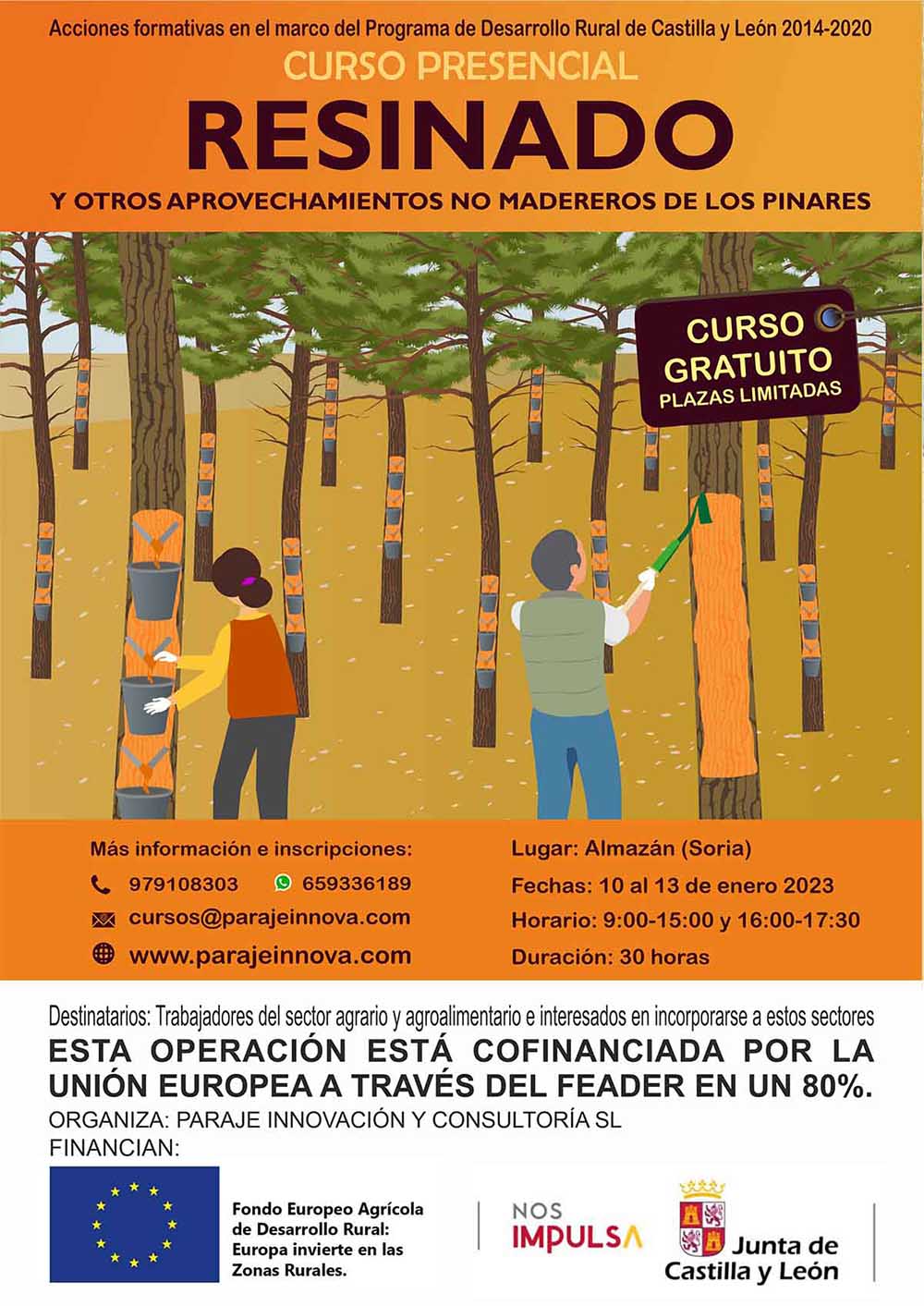 RESINADO Y OTROS APROVECHAMIENTOS NO MADEREROS DE LOS PINARES