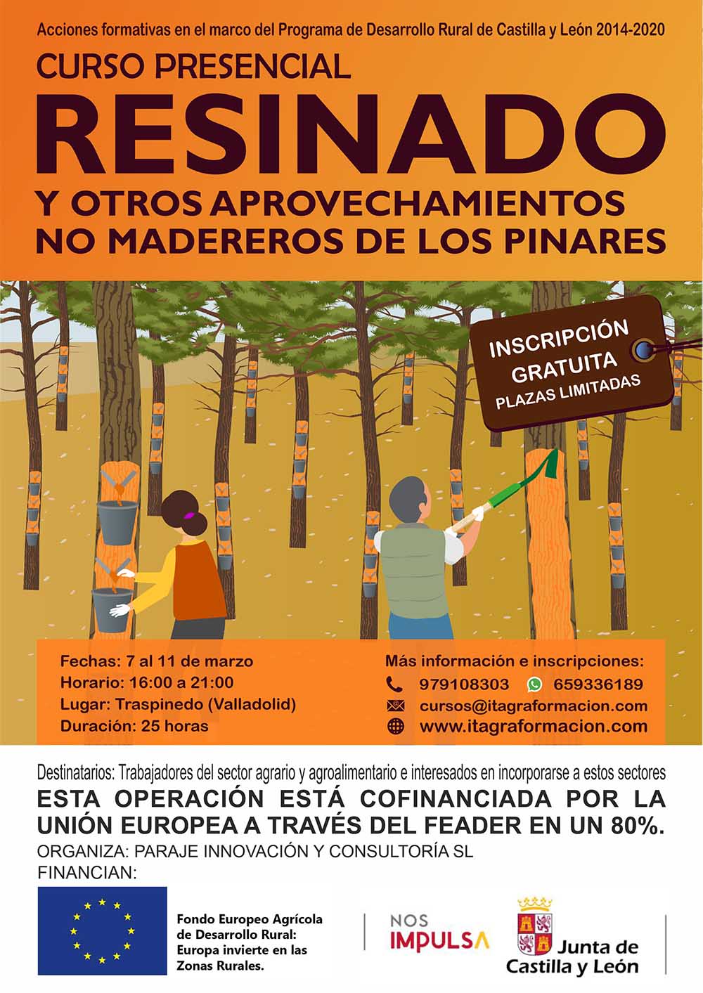 RESINADO Y OTROS APROVECHAMIENTOS NO MADEREROS DE LOS PINARES